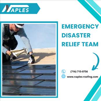 Emergency Disaster Relief Team.png by naplesroofing