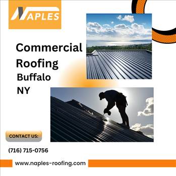 www.naples-roofing.com.png by naplesroofing