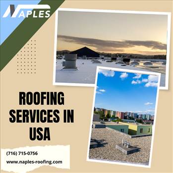 Roofing Services in USA.png by naplesroofing