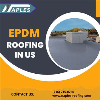 roofing in US.png by naplesroofing