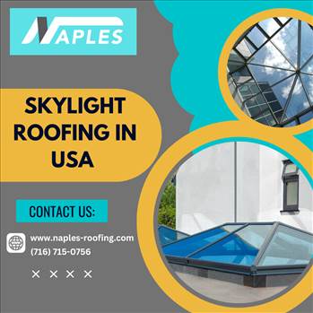 Skylight Roofing in USA.png by naplesroofing