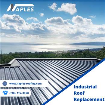 Naples Roofing.png by naplesroofing