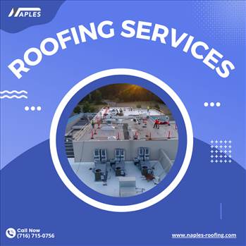 roofing services  .png by naplesroofing