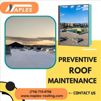 PREVENTIVE ROOF MAINTENANCE.png - 