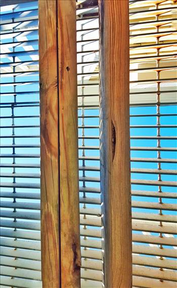 snapseed-14.jpeg - undefined