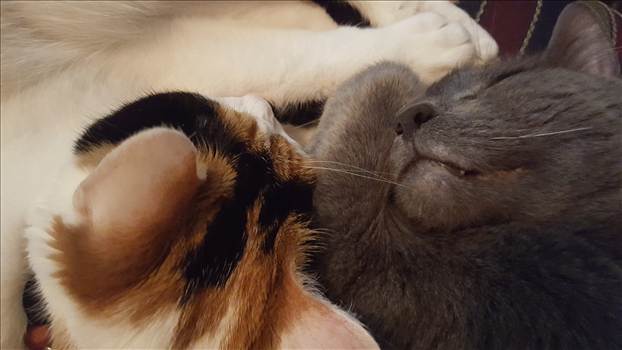 20150602_223207_001.jpg - 