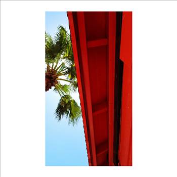 IMG_20150605_185927.jpg - 