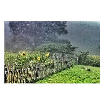 IMG_20140914_202600.jpg - 