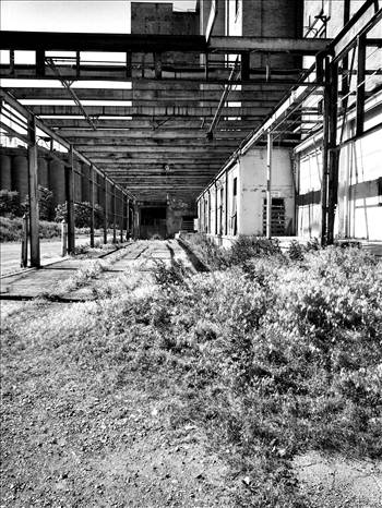 snapseed-11.jpeg - undefined