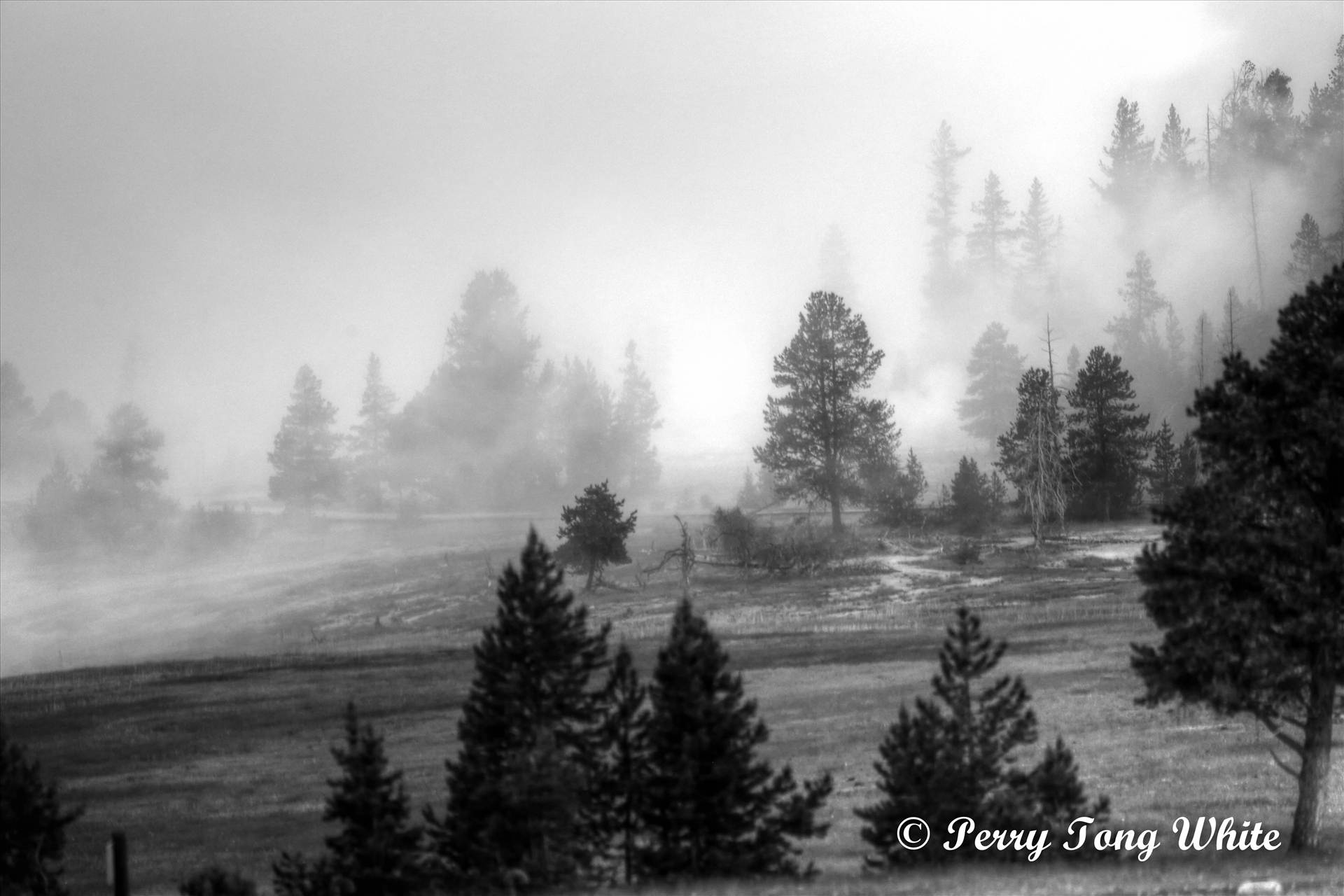 Foggy morning of the Yellowstone  by WPC-162