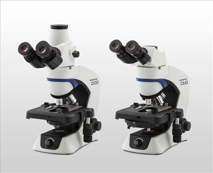 Laboratory Microscope Suppliers.png - 