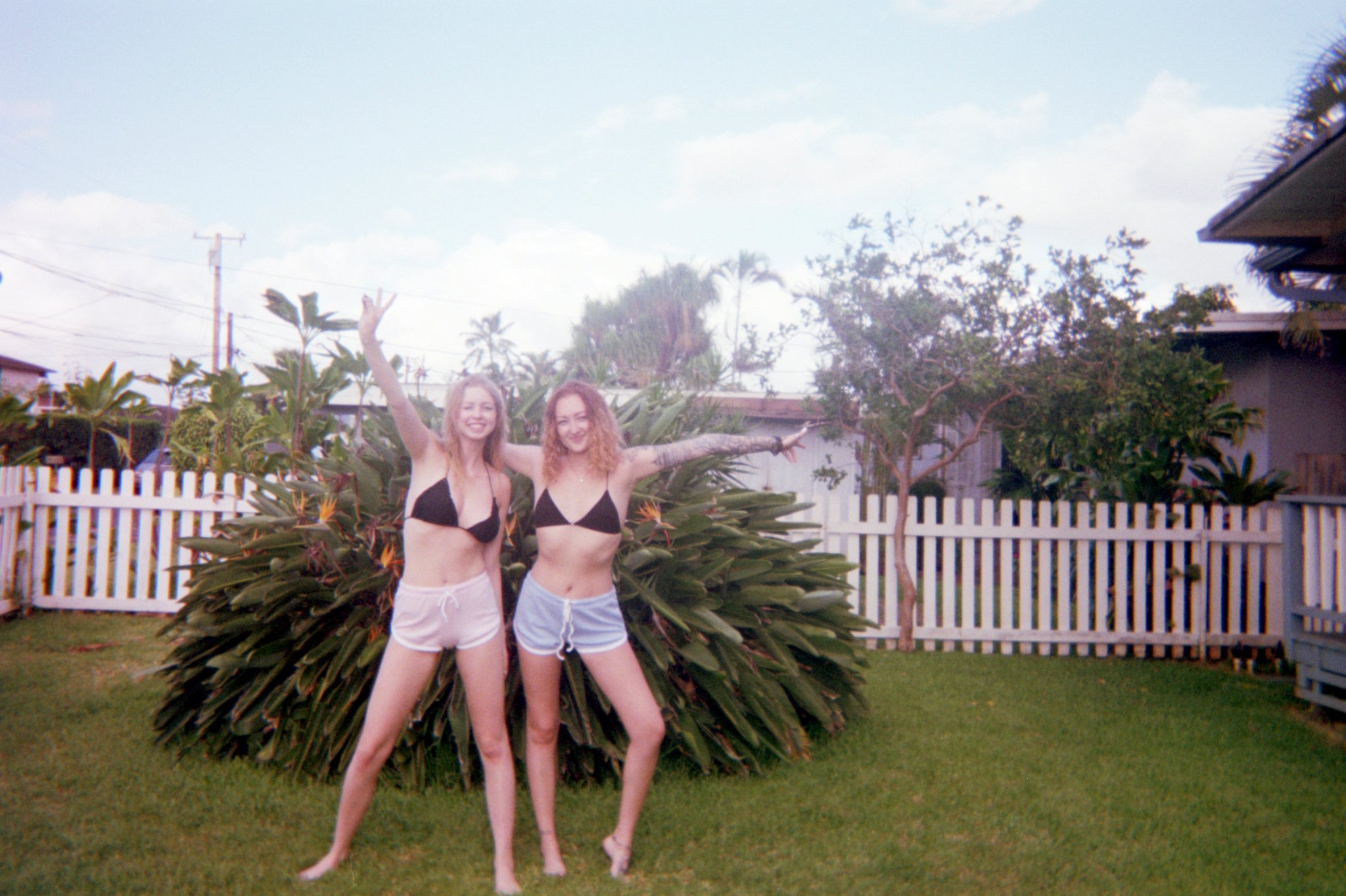 Asset0013.jpg  by sgroll