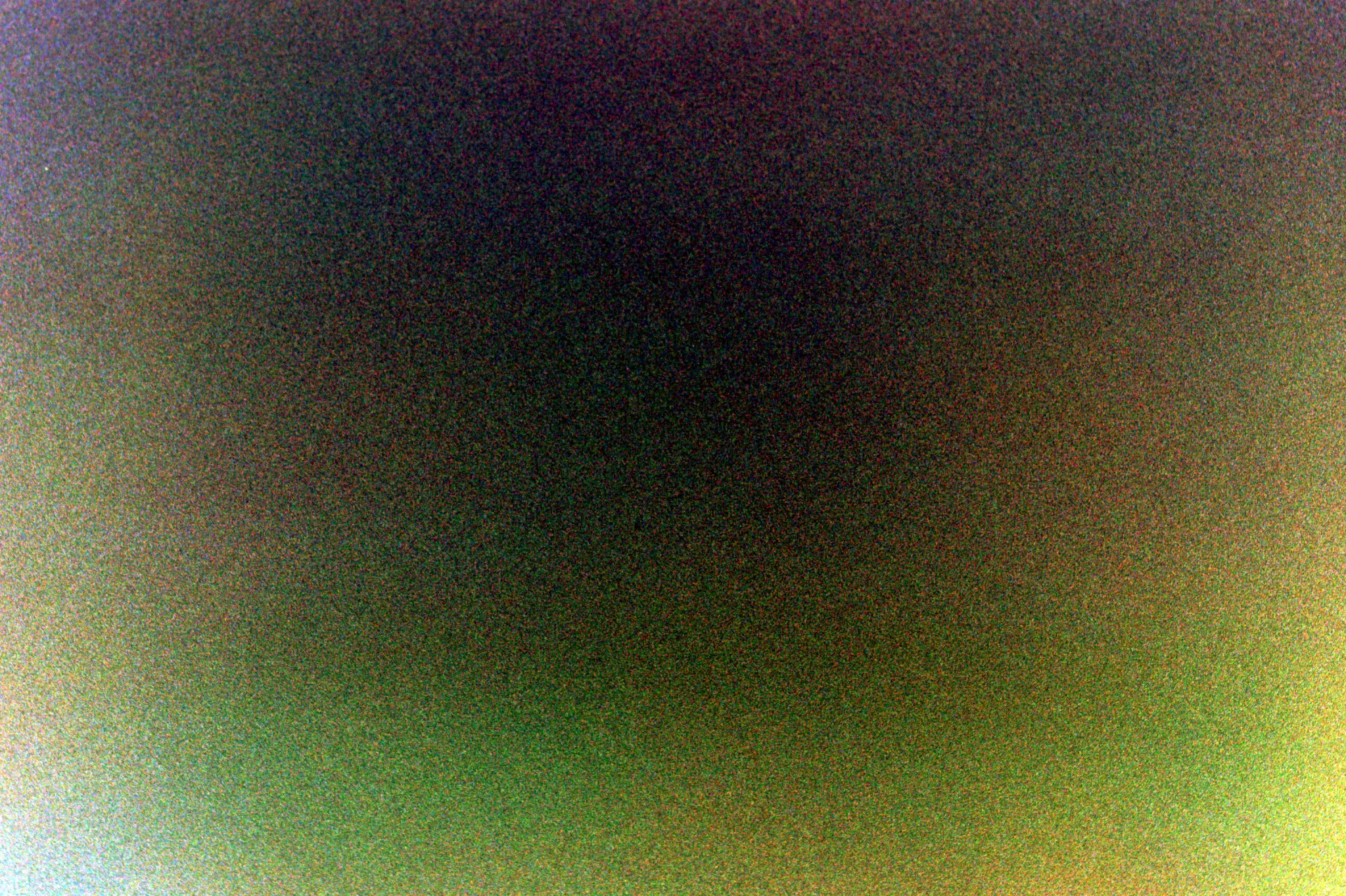 Asset0005.jpg  by sgroll