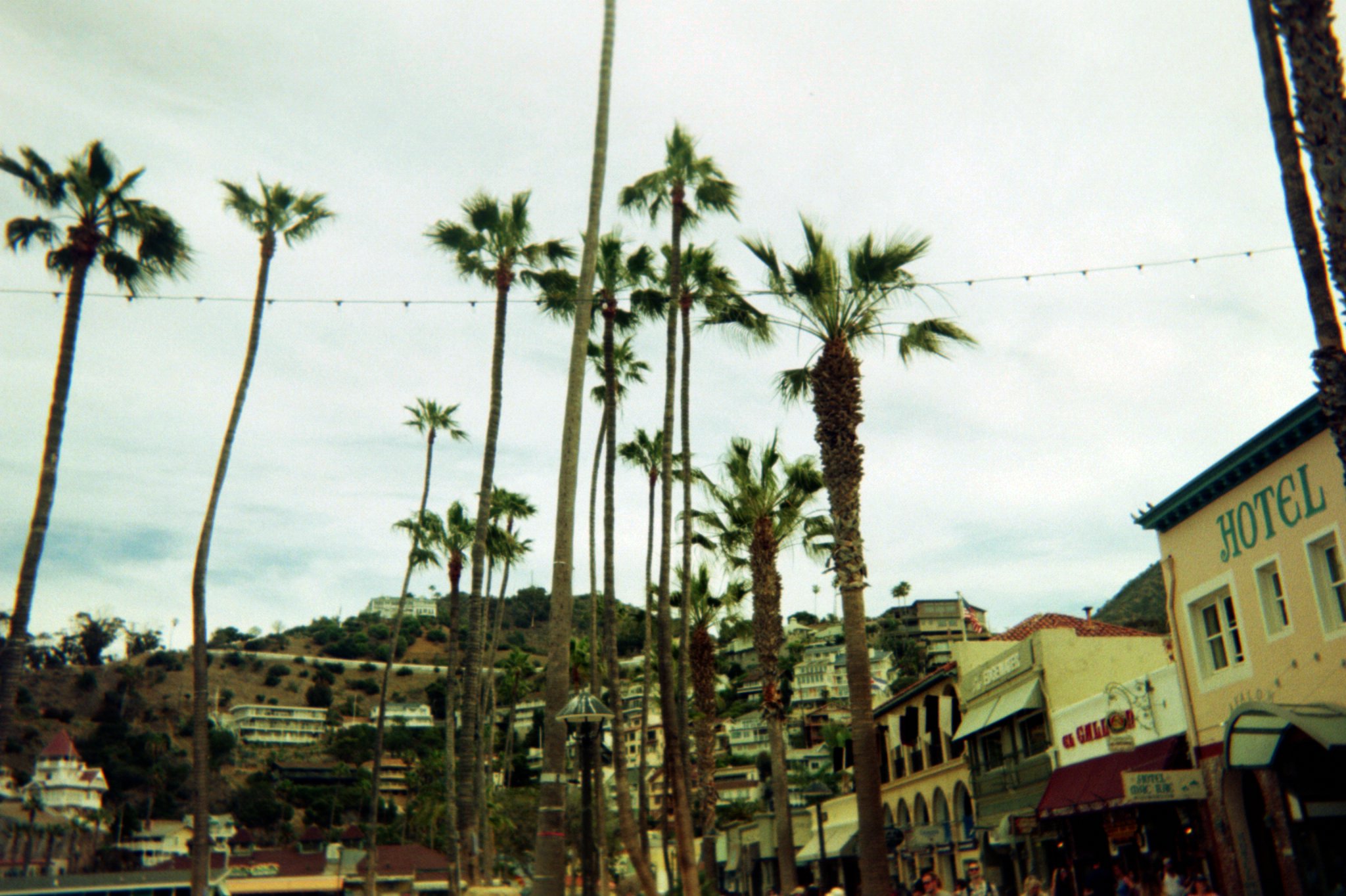 Asset0014.jpg  by sgroll