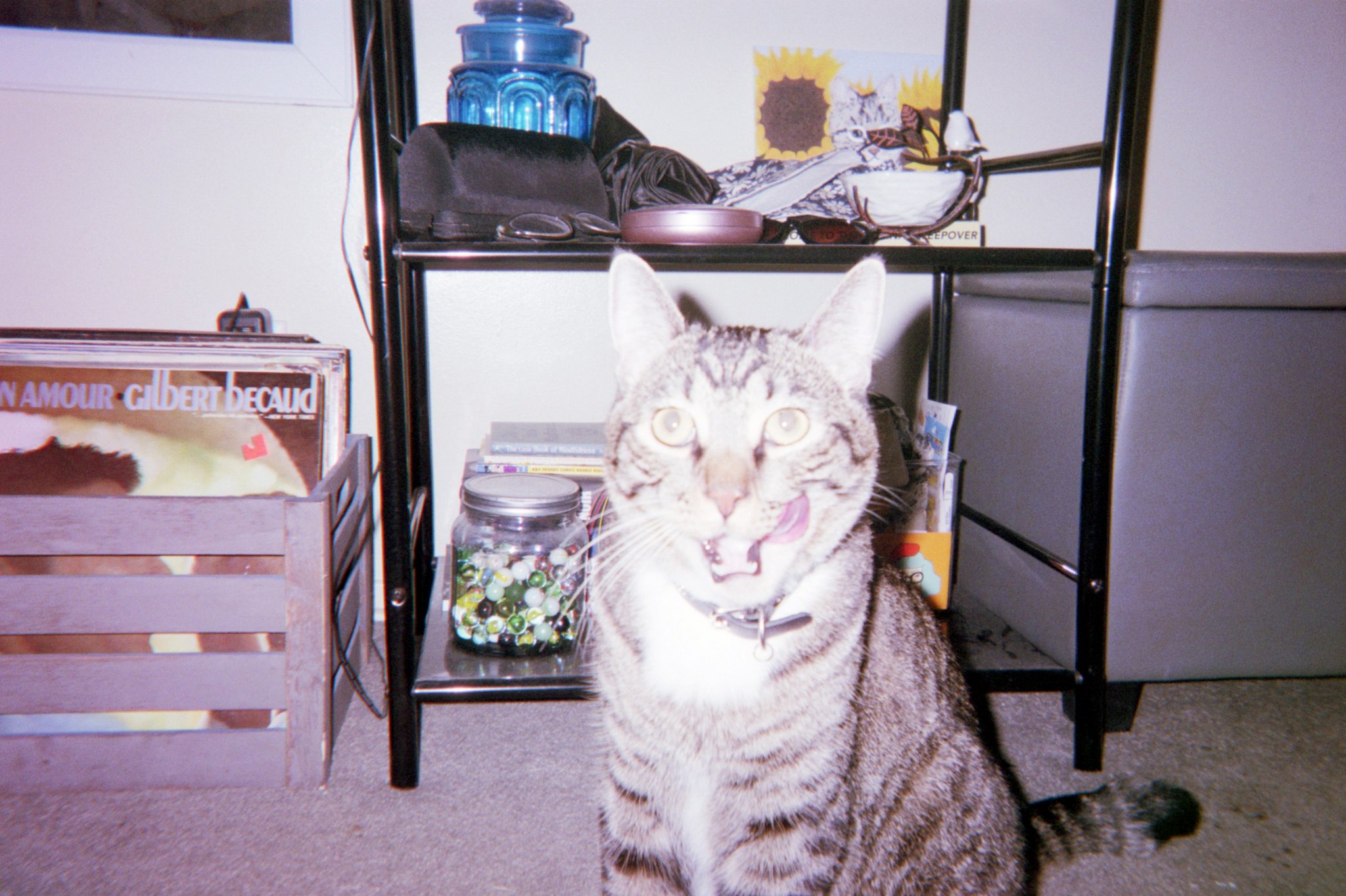 Asset0003.jpg  by sgroll