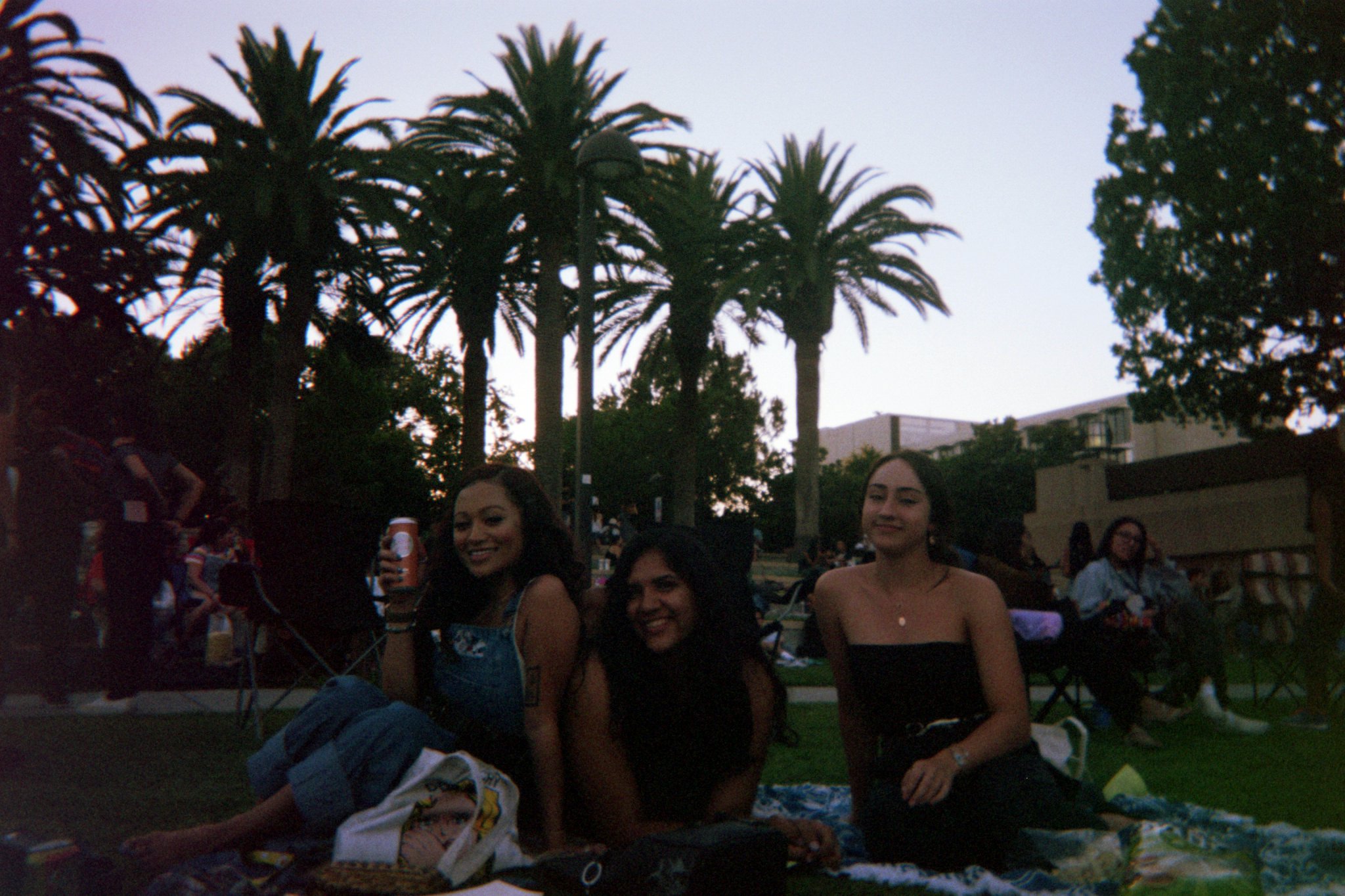 Asset0009.jpg  by sgroll