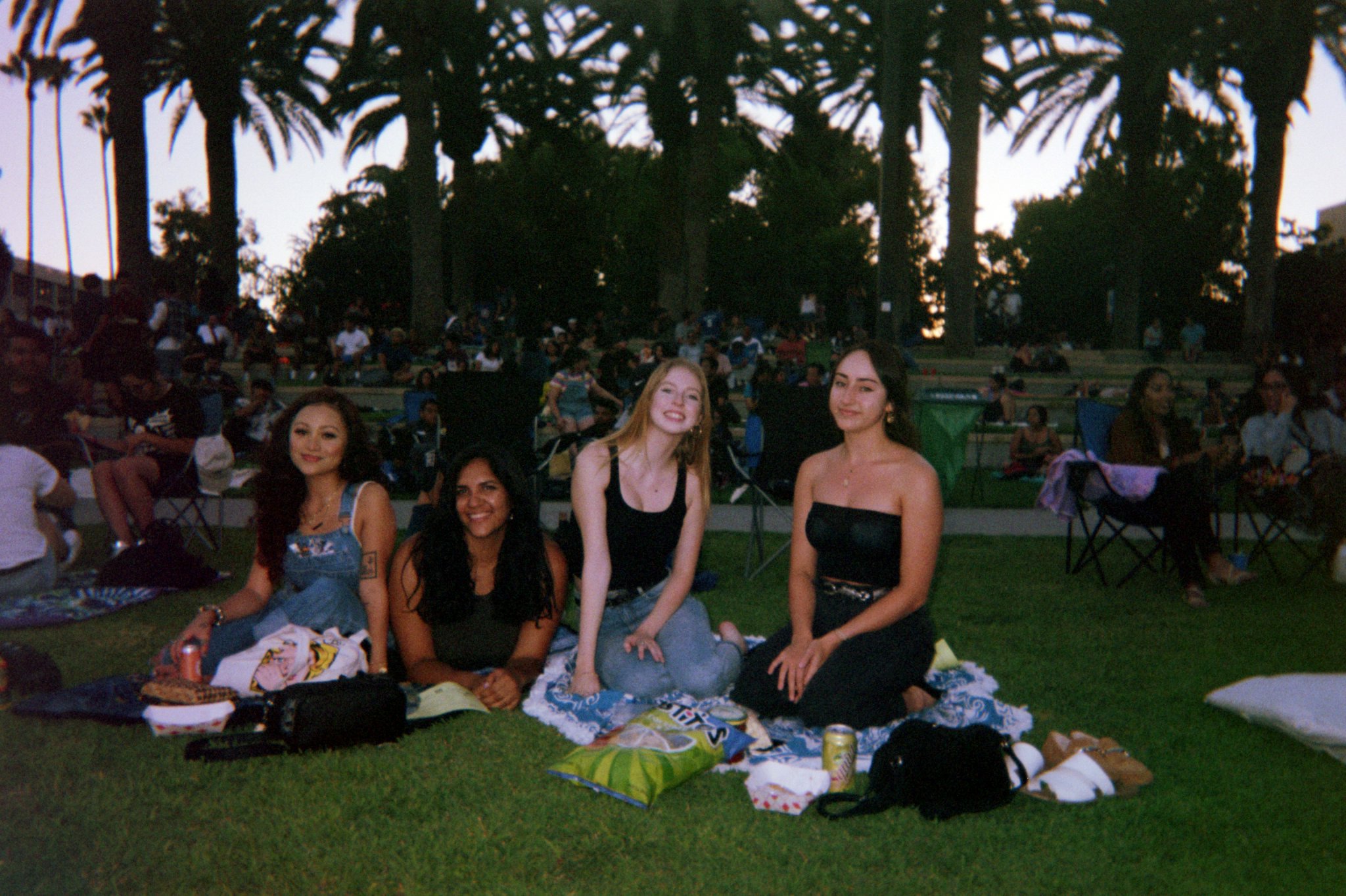 Asset0007.jpg  by sgroll