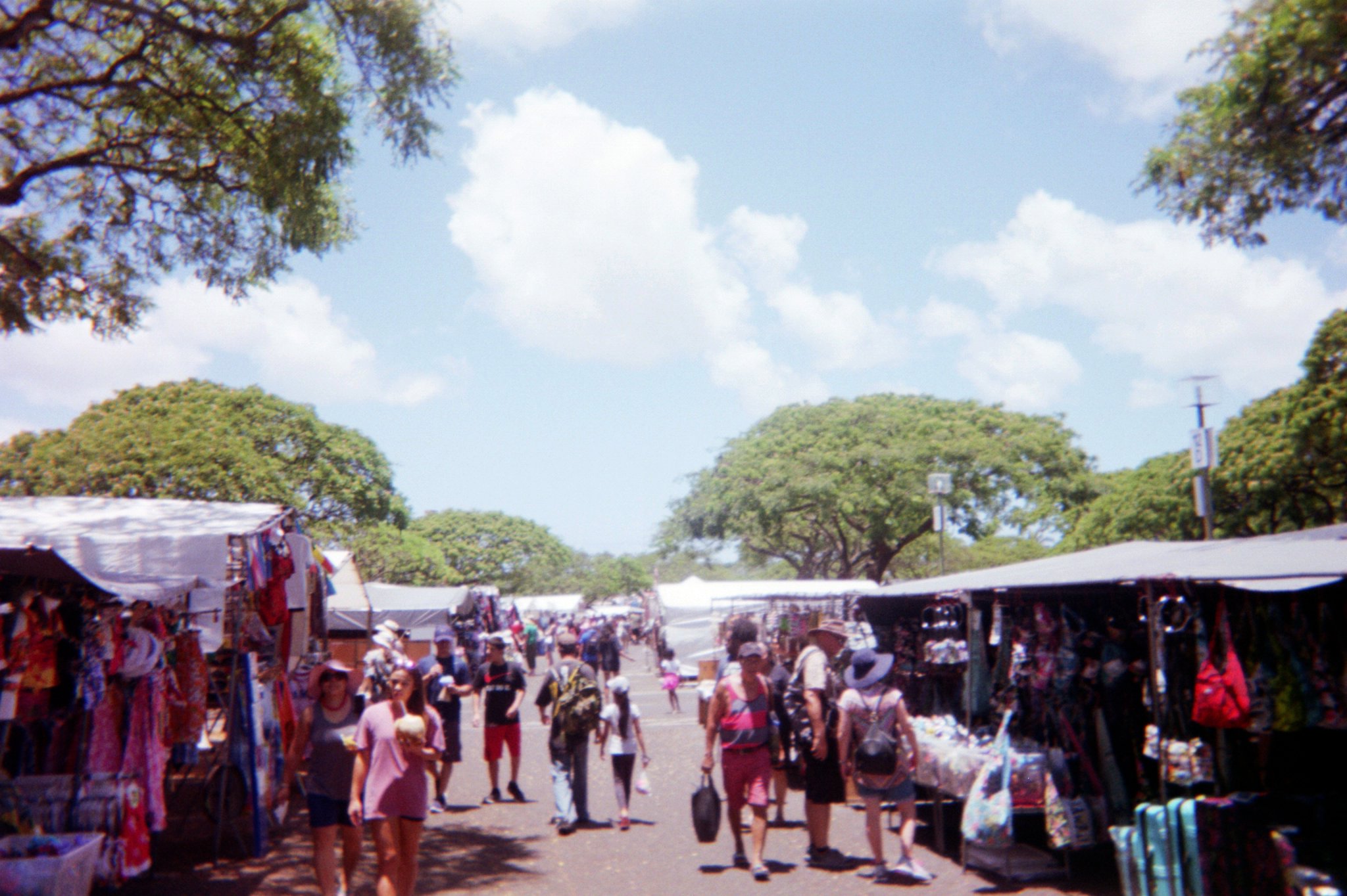 Asset0018.jpg  by sgroll