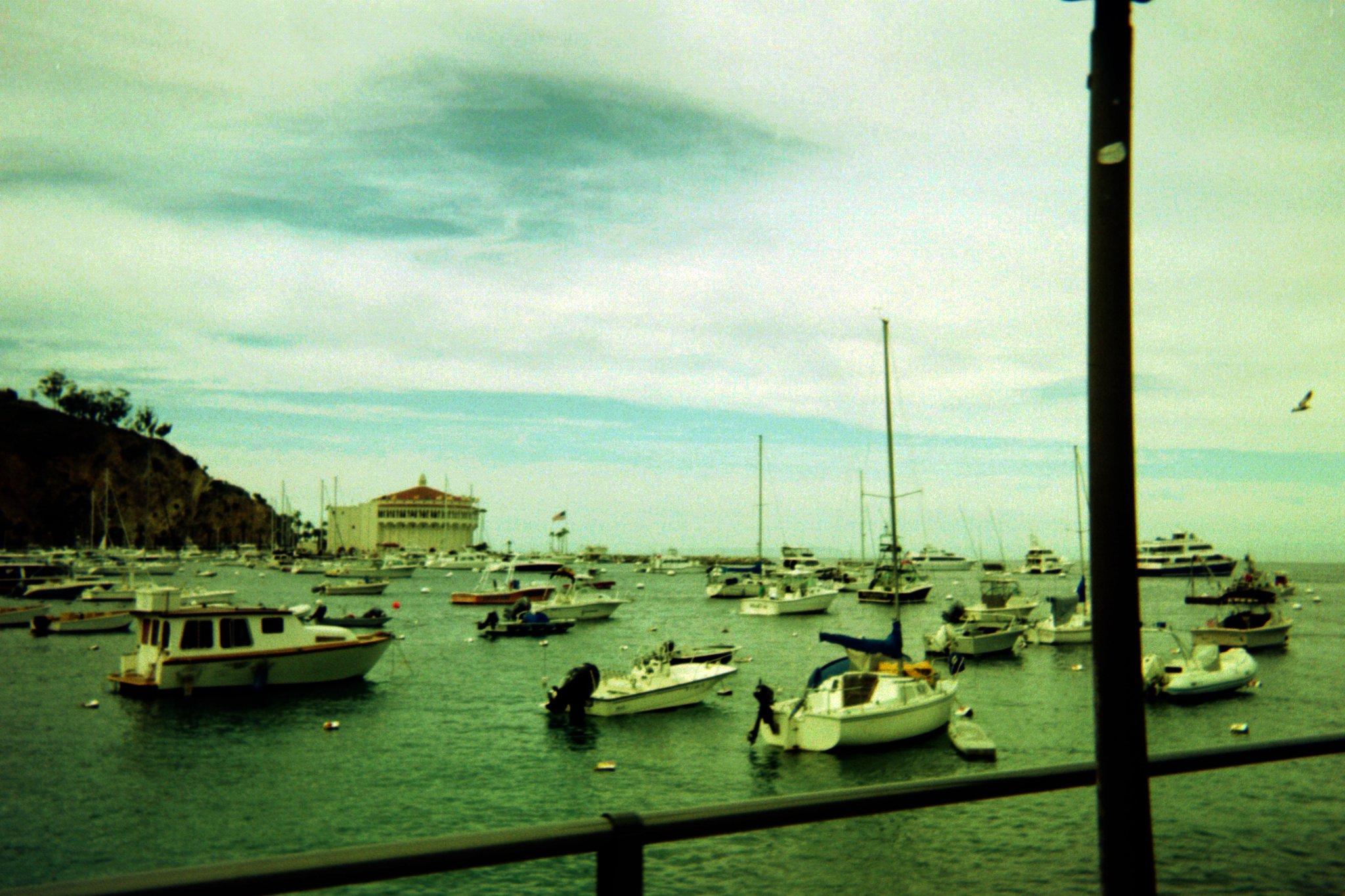 Asset0008.jpg  by sgroll