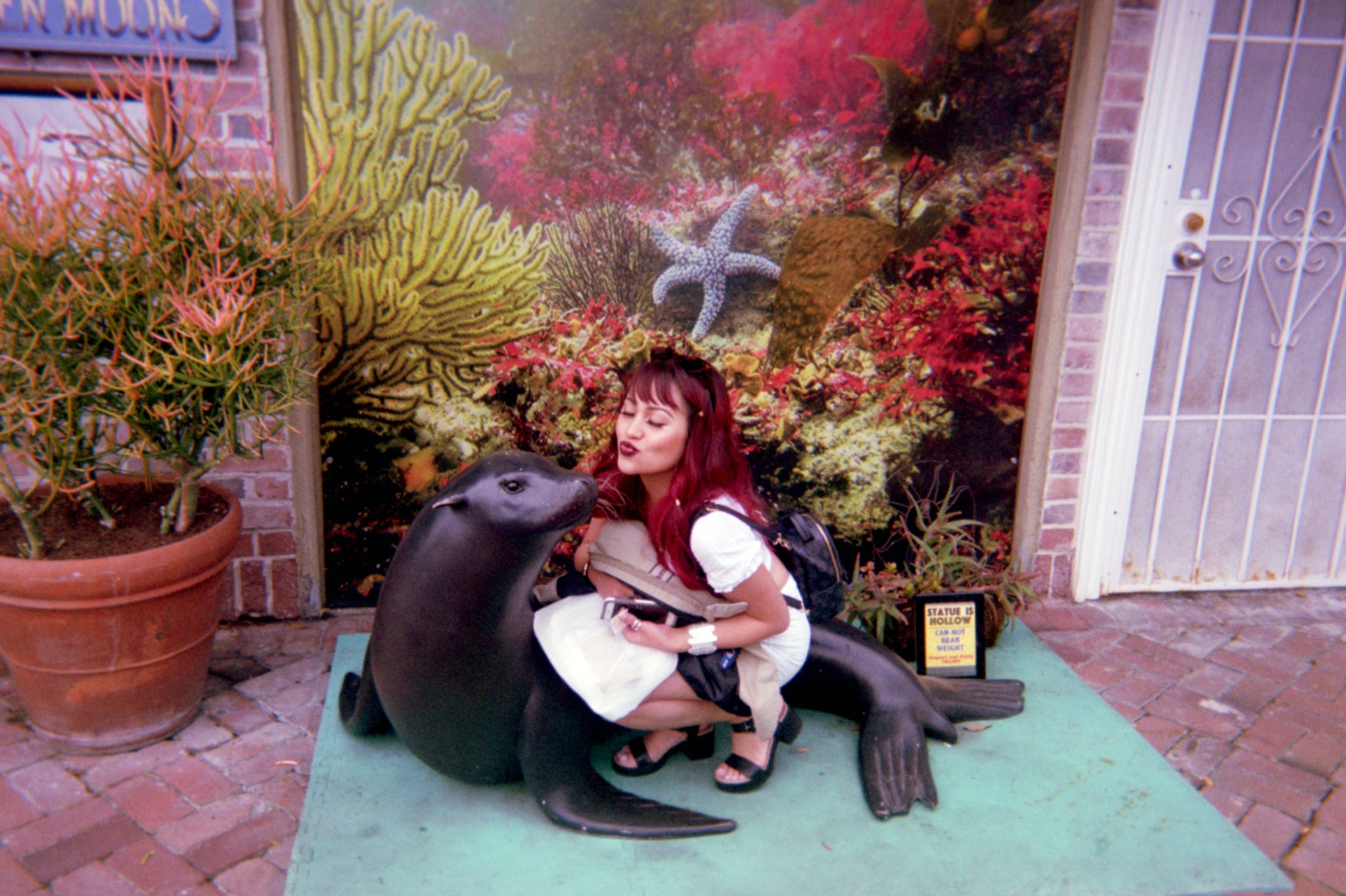 Asset0020.jpg  by sgroll