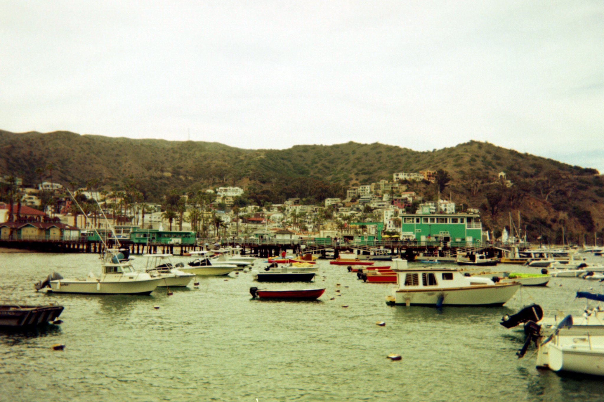 Asset0007.jpg  by sgroll