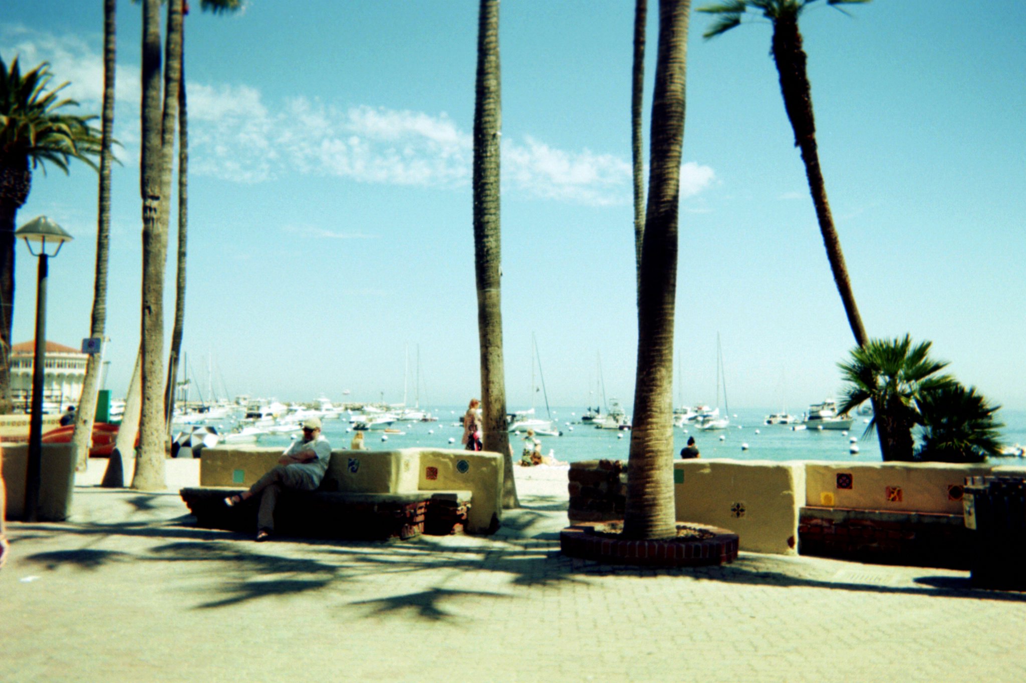 Asset0028.jpg  by sgroll