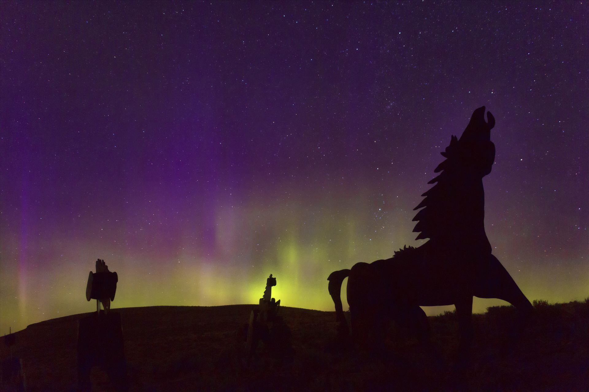 Horseplay in the Northern Lights This was taken at the Wild Horse Monument at Vantage, Washington.  The Auroras put on quite a show that night. by Bear Conceptions Photography