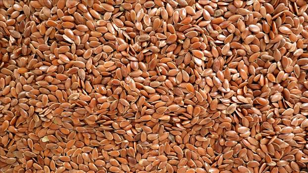 Negozio di forniture di semi di lino by Zenitheclipse