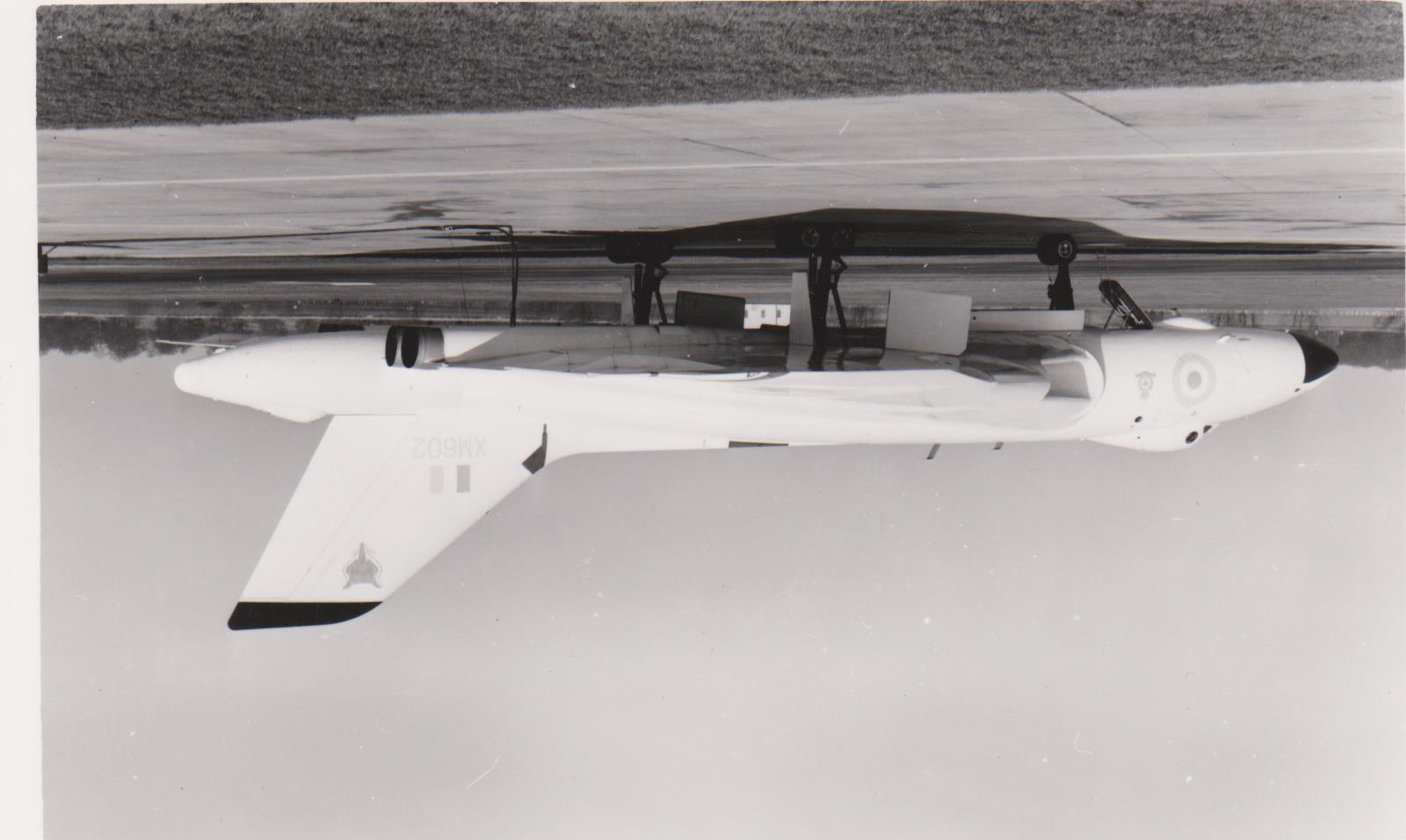 XM602.jpg  by cherry268