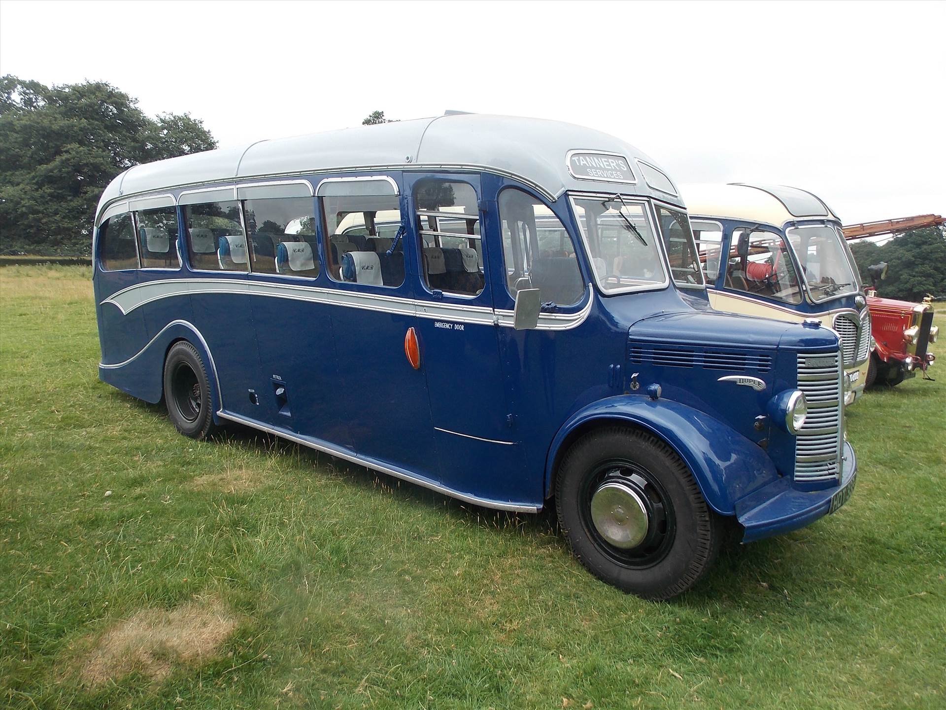 DSCN6543.JPG  by cherry268