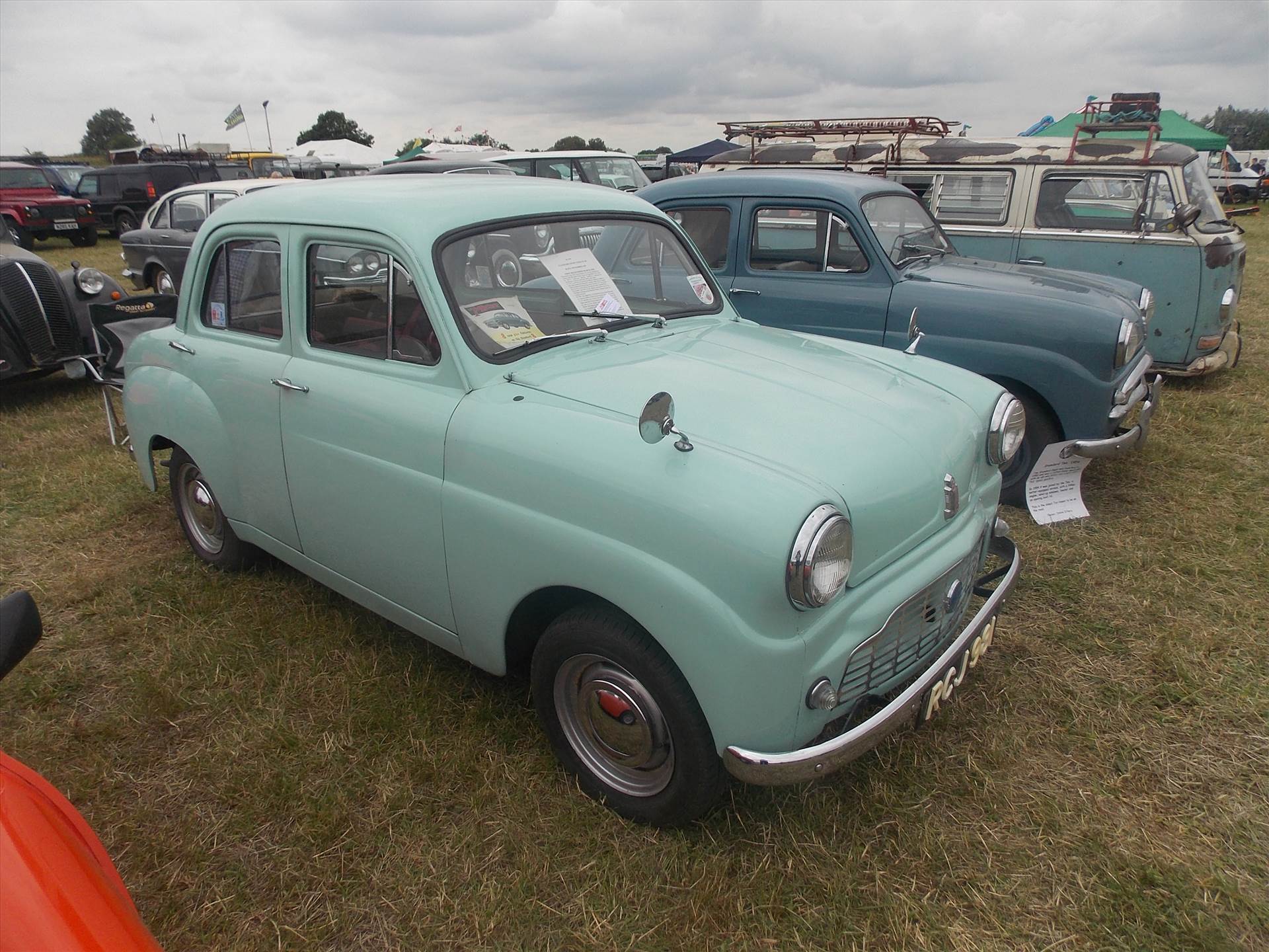 DSCN6098.JPG  by cherry268