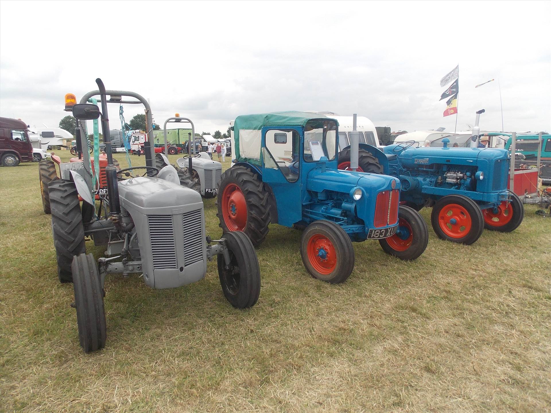 DSCN6130.JPG  by cherry268