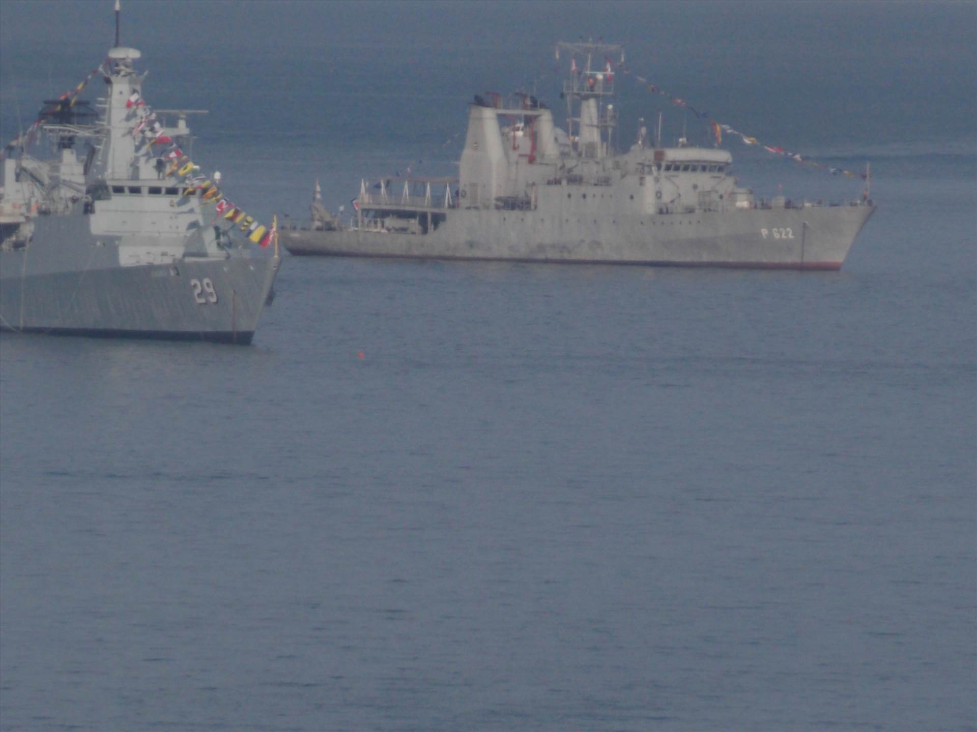 DSCN6064.JPG  by cherry268