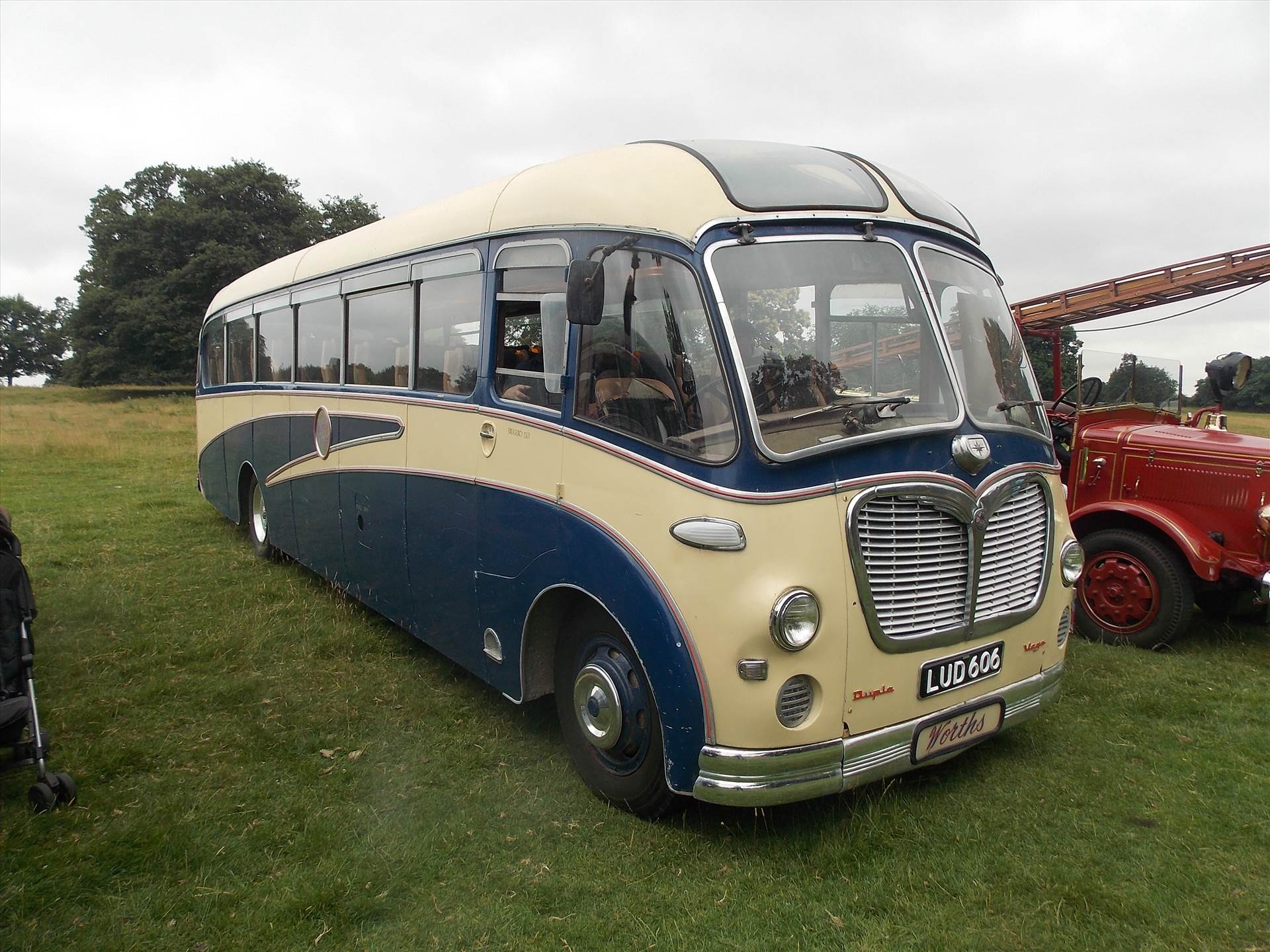 DSCN6544.JPG  by cherry268