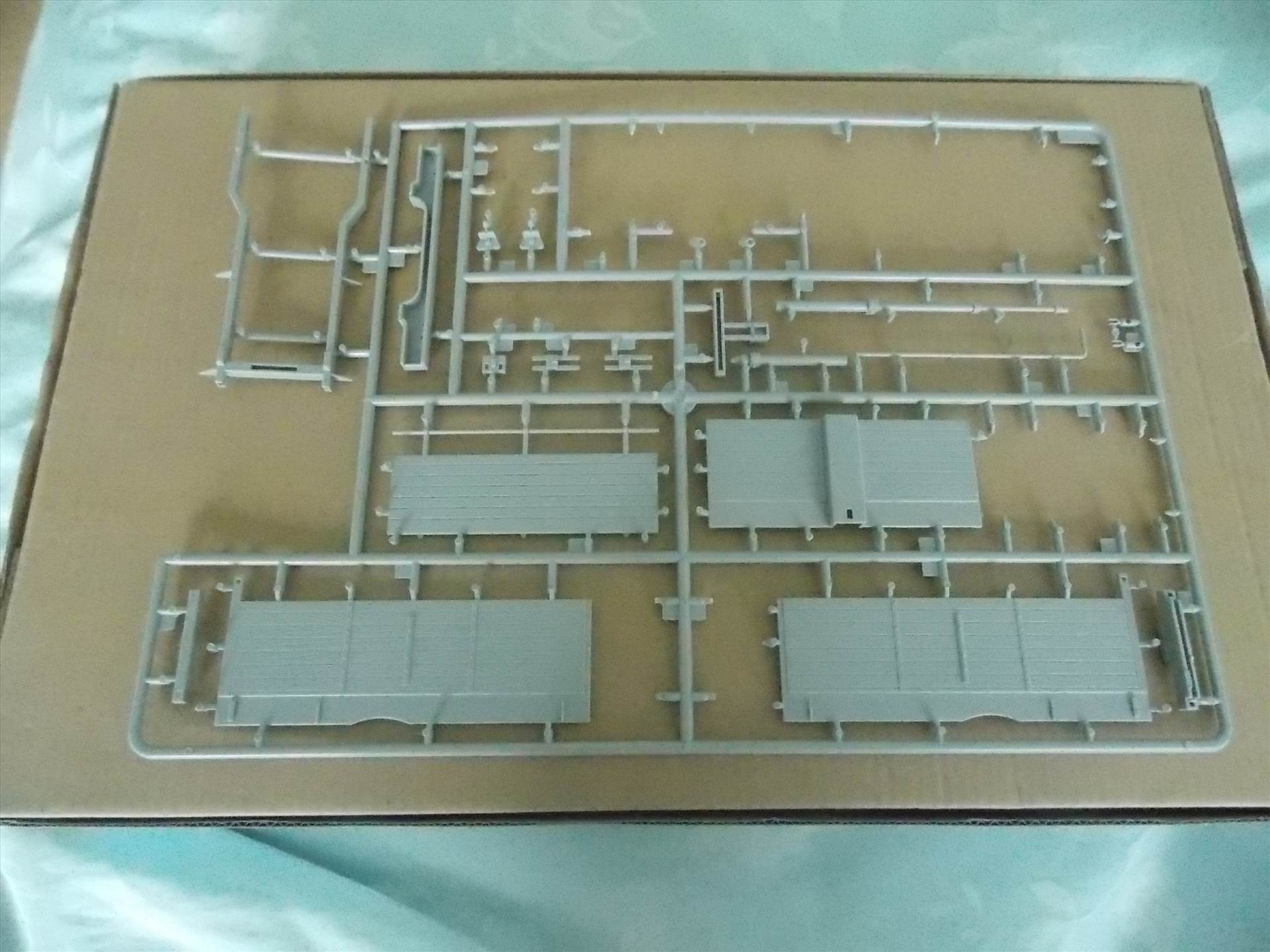 DSCN6181.JPG  by cherry268