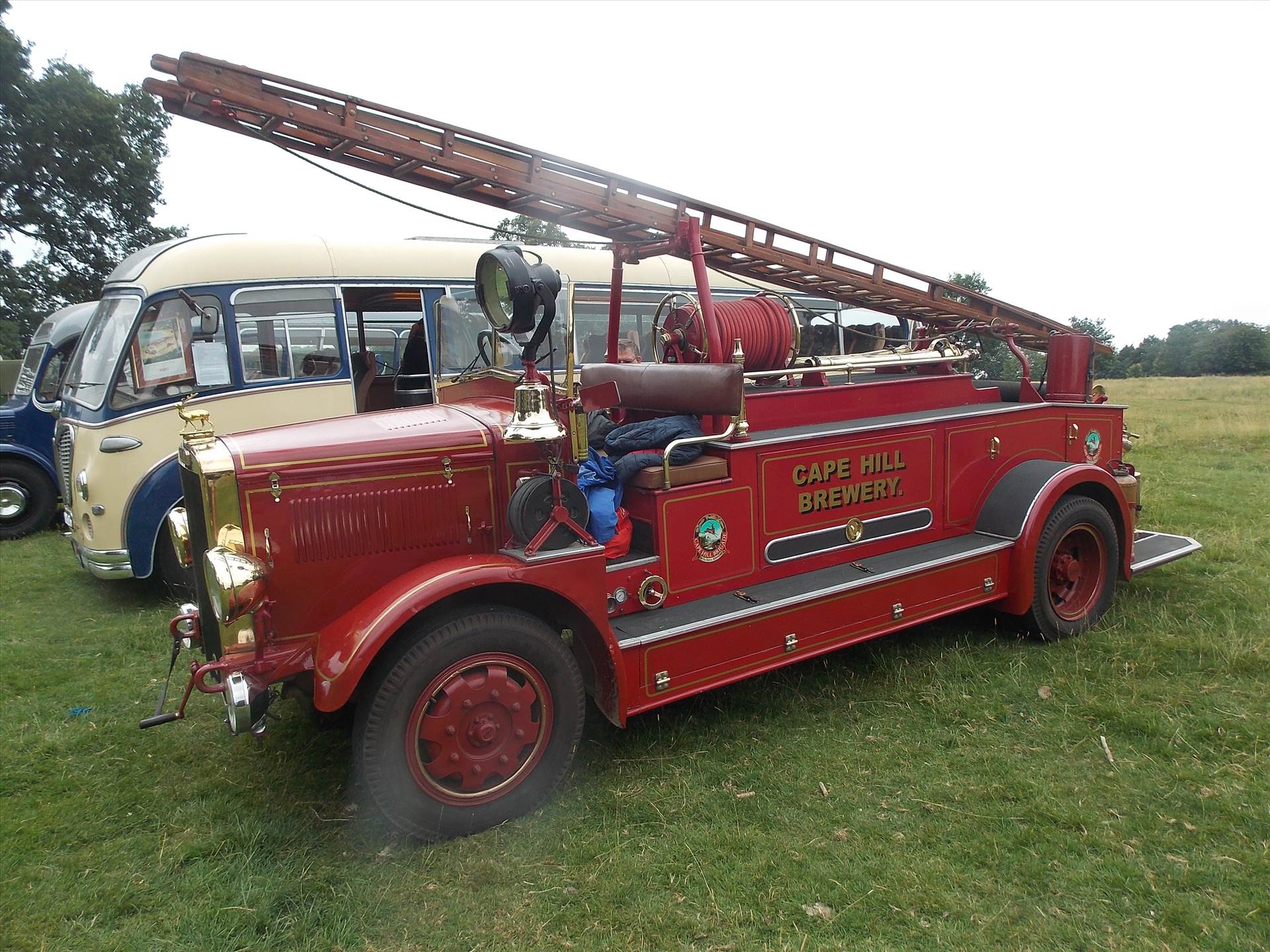 DSCN6546.JPG  by cherry268