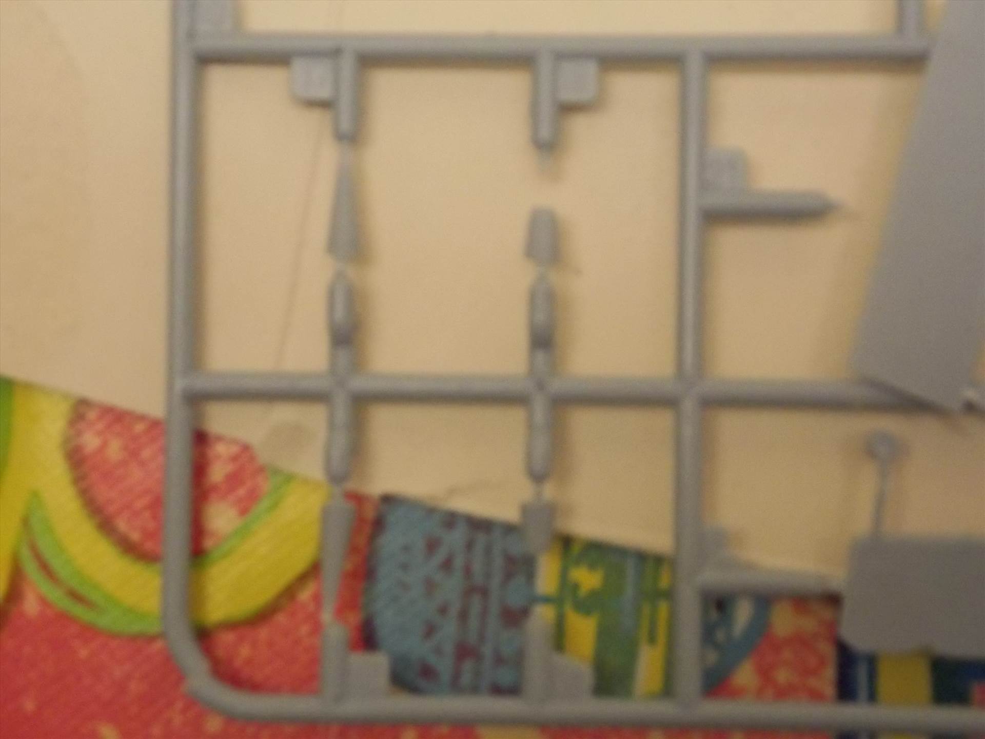 DSCN6768.JPG  by cherry268