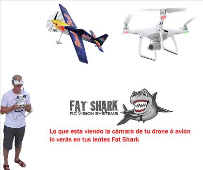 fat-shark-lentes.jpg by erubio24