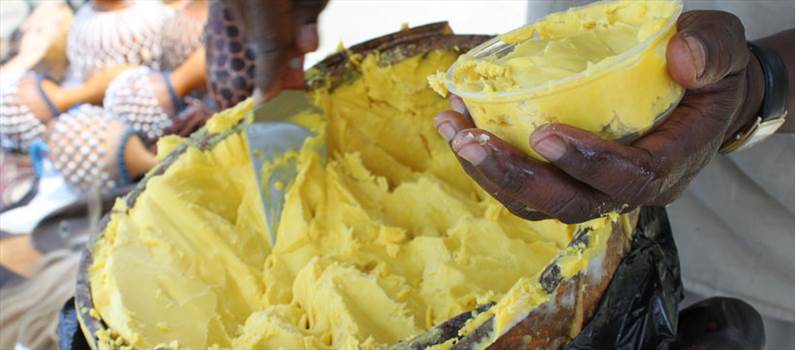 Shea Butter by Africa Imports