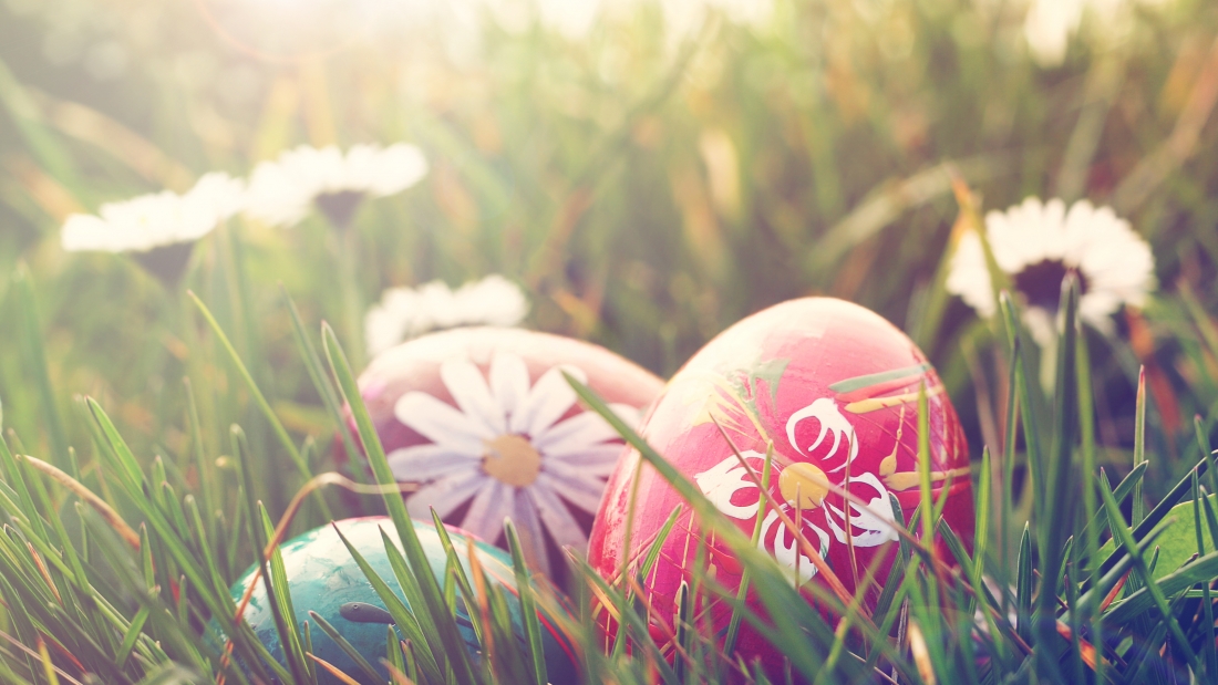 Exciting Easter Events To Hop Over To This Weekend.jpg  by SunAmerican