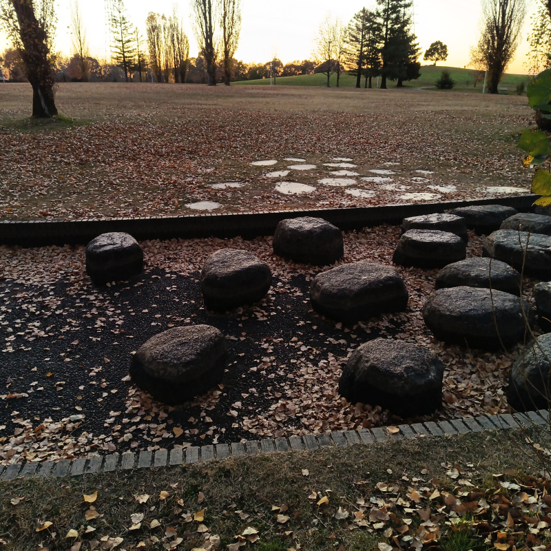 IMG_20251206_1659_winter-leaves.jpg  by Cantaloupe1