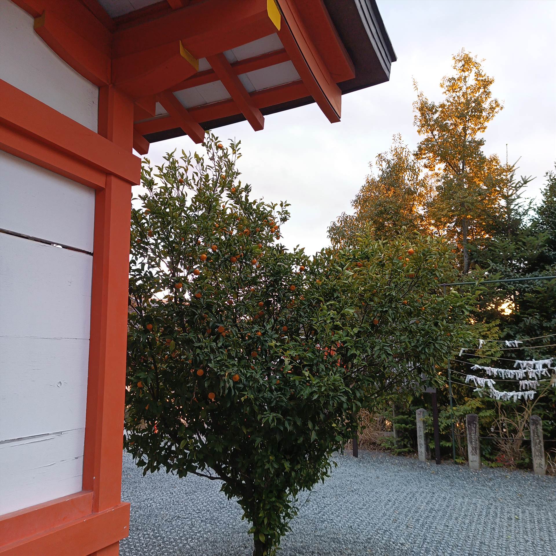 Uji Shrine Fruition.jpg  by Cantaloupe1
