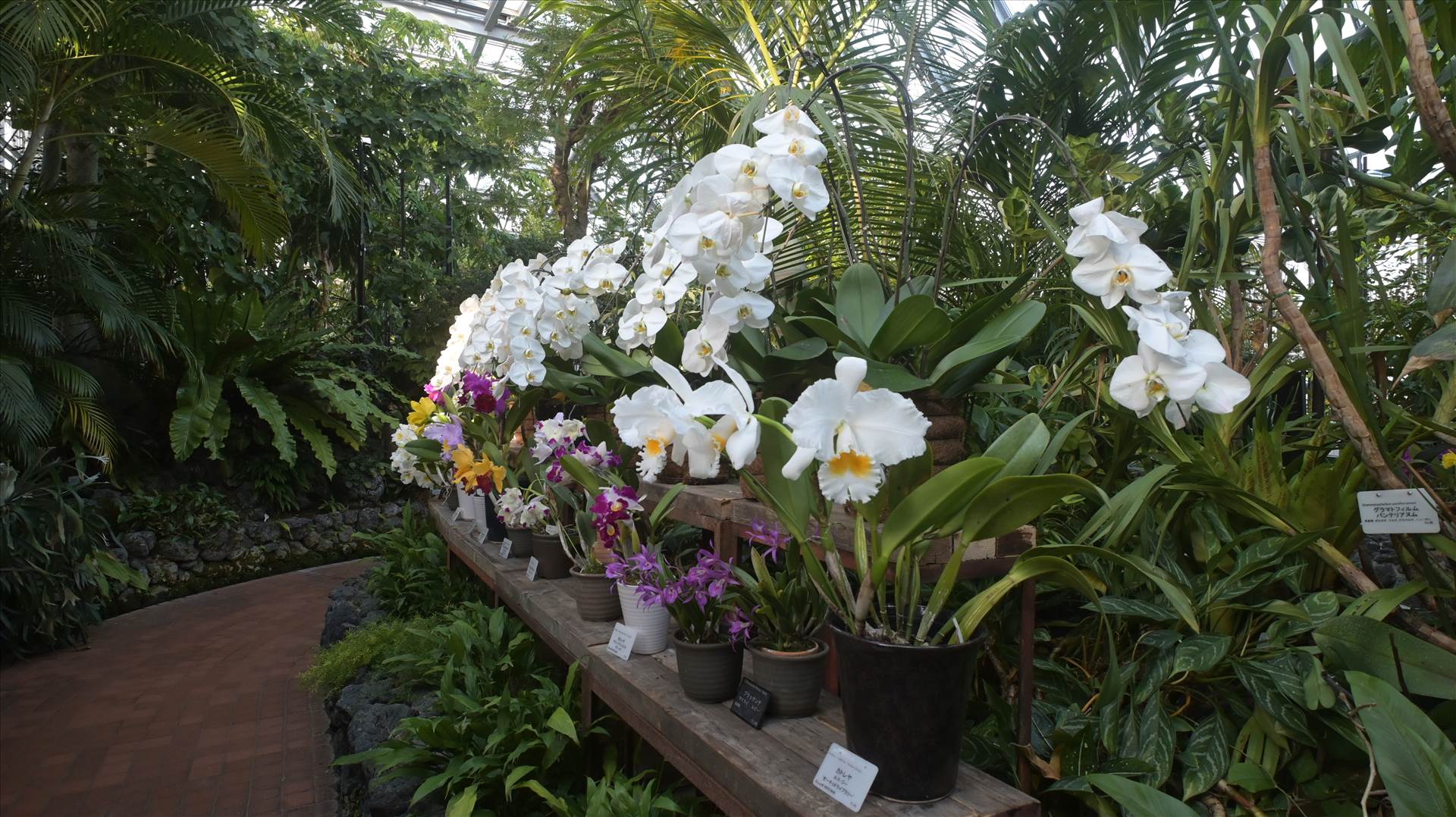 DSC_0748.JPG  by Cantaloupe1