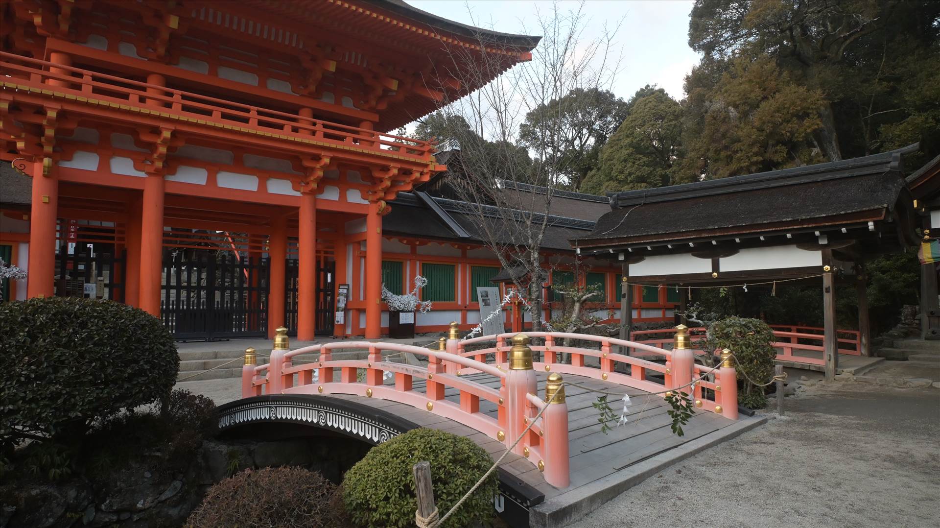 DSC_0786.JPG  by Cantaloupe1