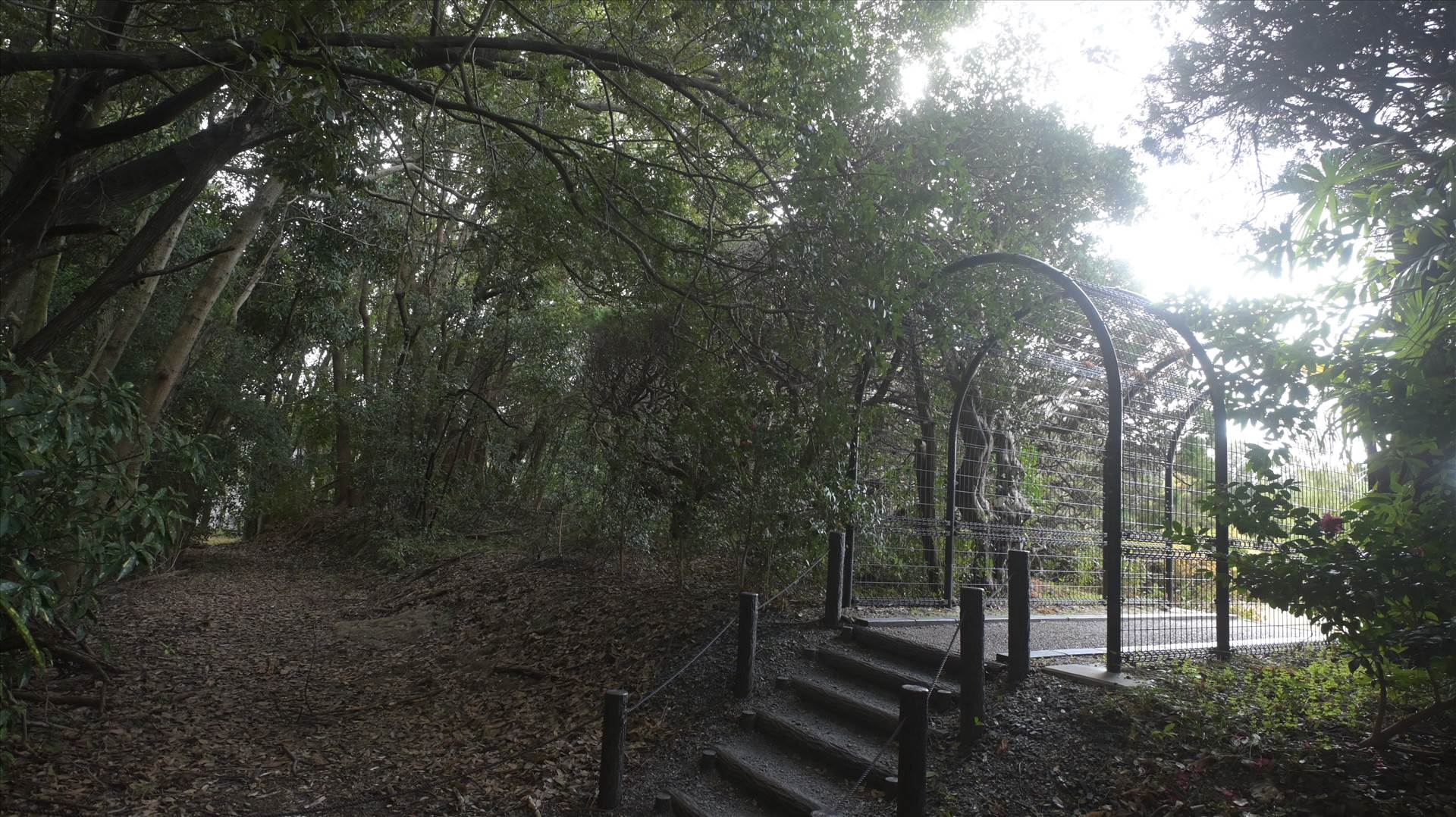 DSC_0624.JPG  by Cantaloupe1