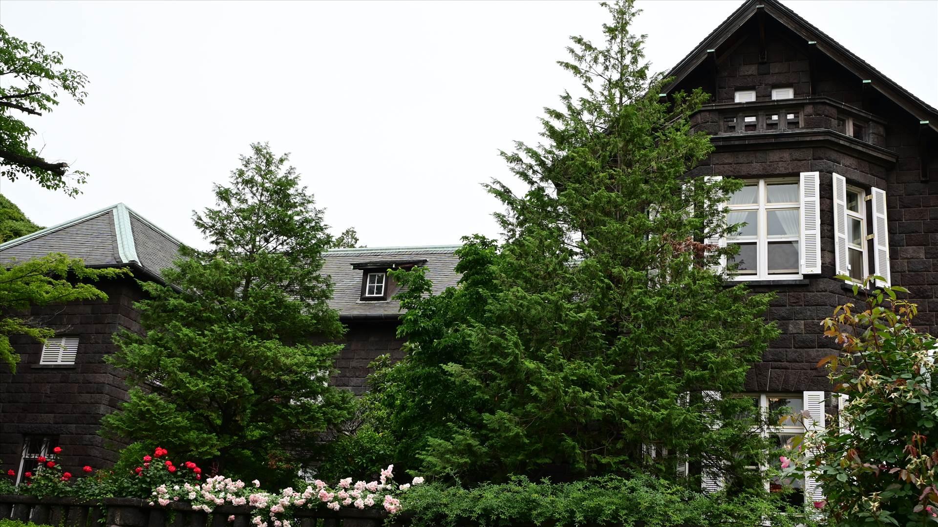 DSC_0177.JPG  by Cantaloupe1