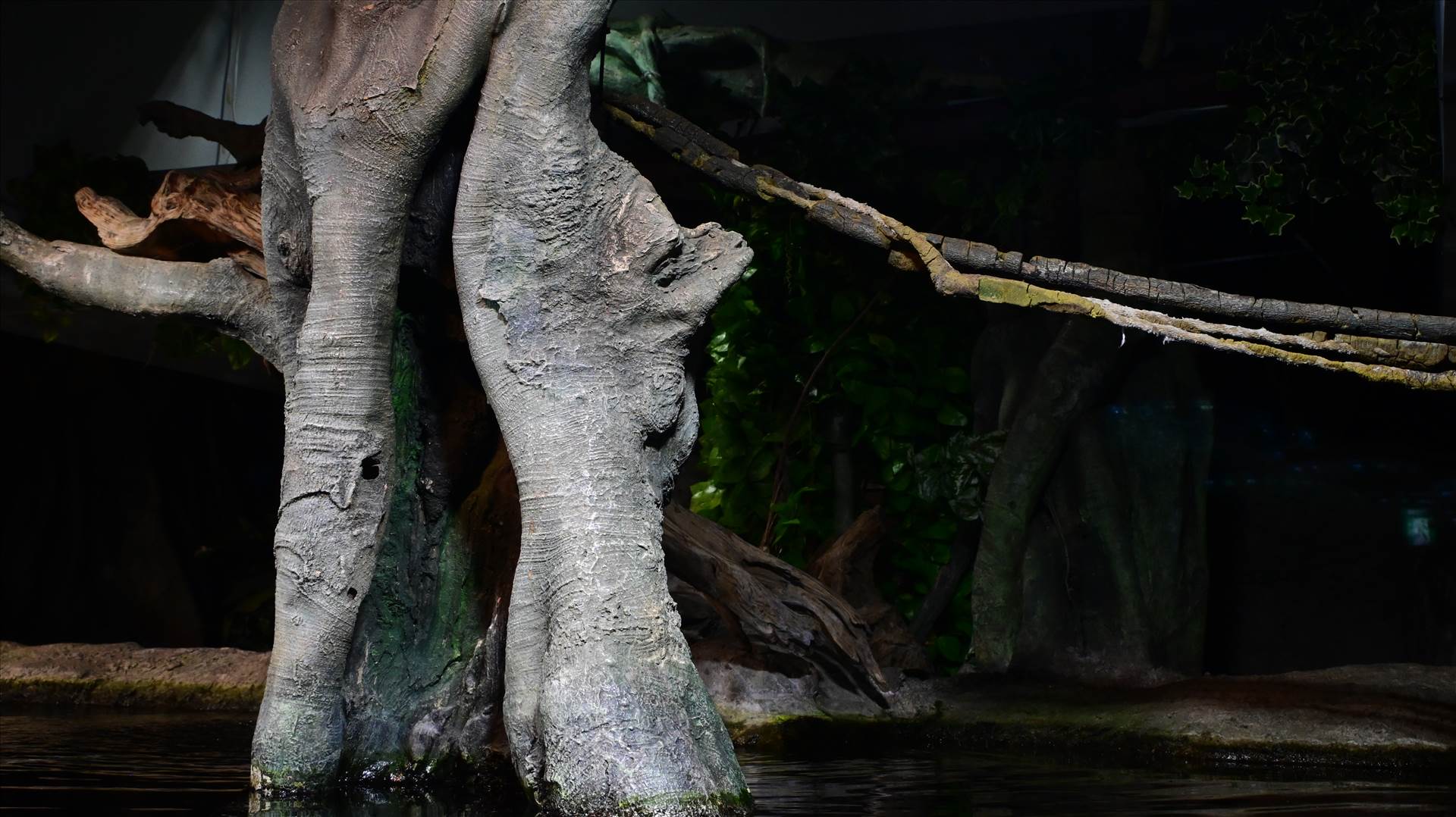 DSC_0284.JPG  by Cantaloupe1