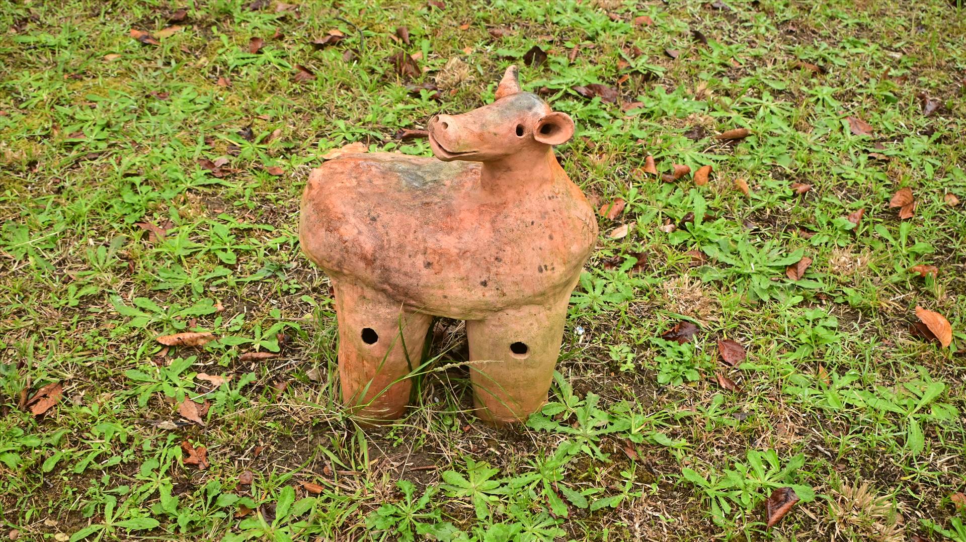 DSC_0560.JPG  by Cantaloupe1