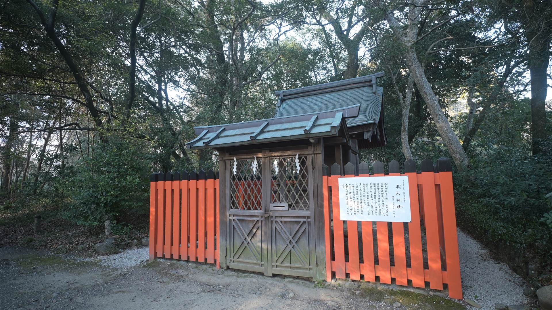 DSC_0761.JPG  by Cantaloupe1