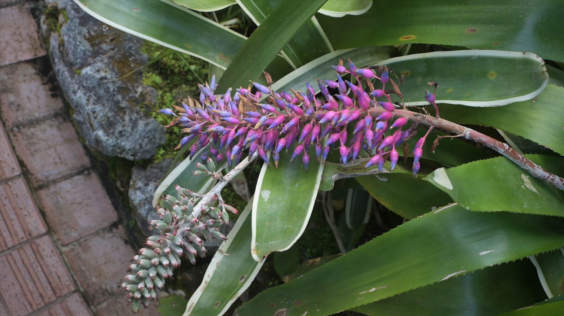 DSC_0738.JPG  by Cantaloupe1